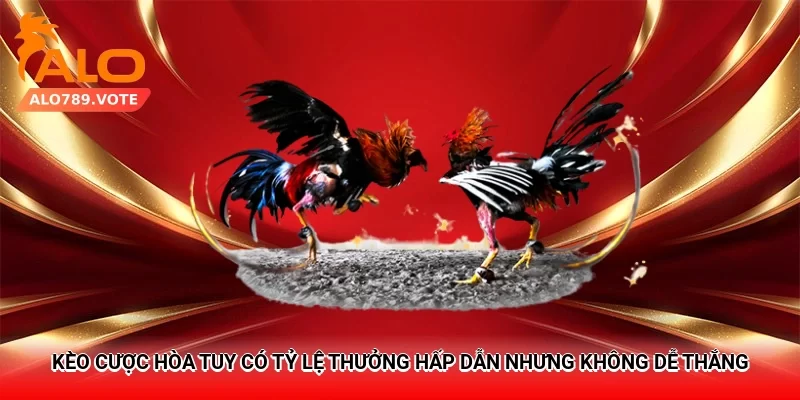 Kèo cược hòa tuy có tỷ lệ thưởng hấp dẫn nhưng không dễ thắng